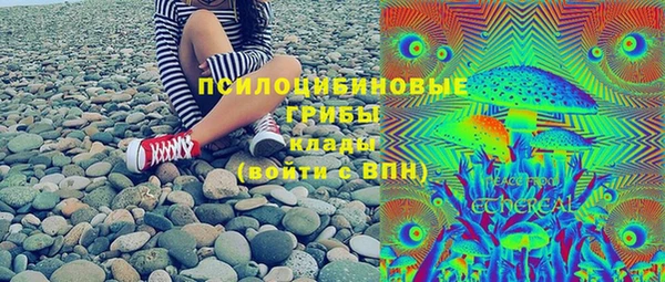 ГАЛЛЮЦИНОГЕННЫЕ ГРИБЫ Абинск