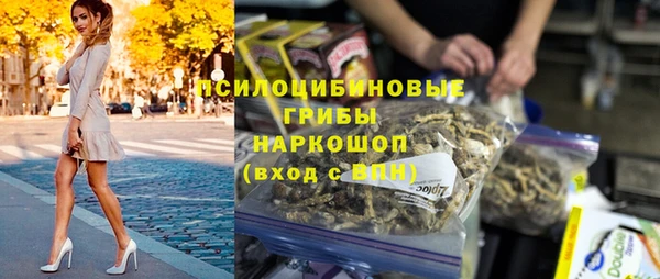 ГАЛЛЮЦИНОГЕННЫЕ ГРИБЫ Абинск