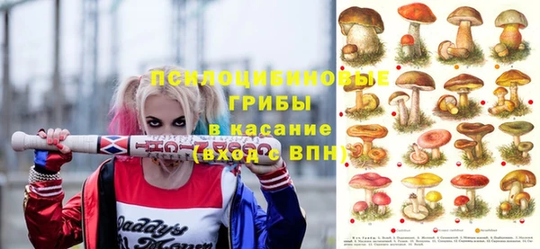ГАЛЛЮЦИНОГЕННЫЕ ГРИБЫ Абинск