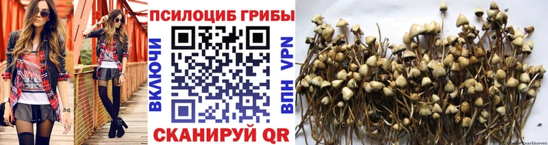 Галлюциногенные грибы мицелий  Ртищево 